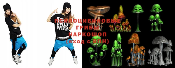 apvp Алзамай