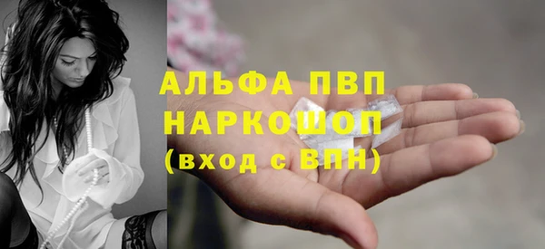 apvp Алзамай